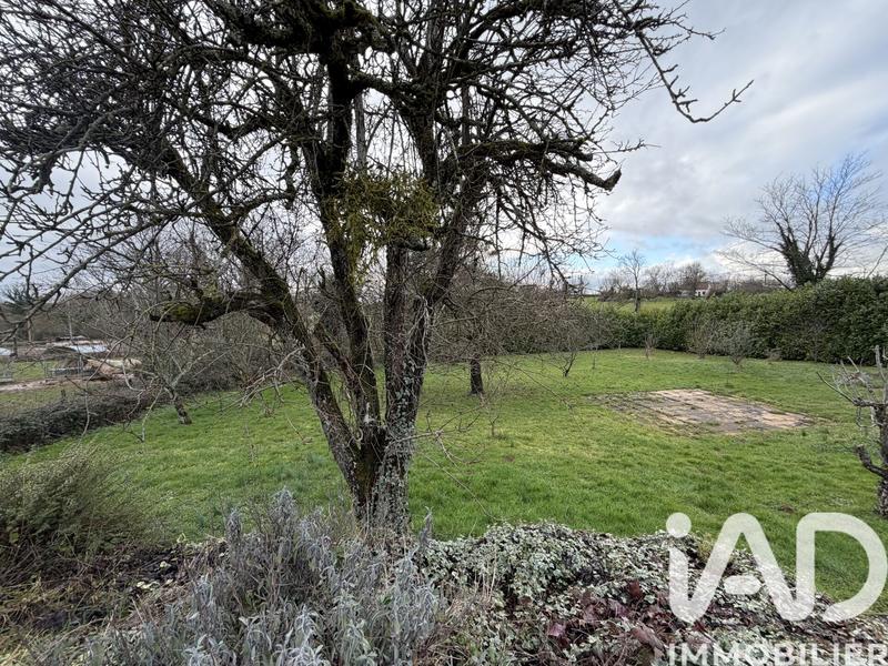 Maison de village - 60 m² - 3 pièces