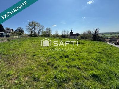 Terrain - 2 919 m²