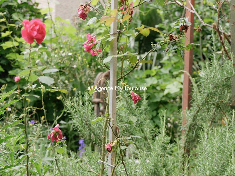 Maison ancienne - 107 m² - 5 pièces