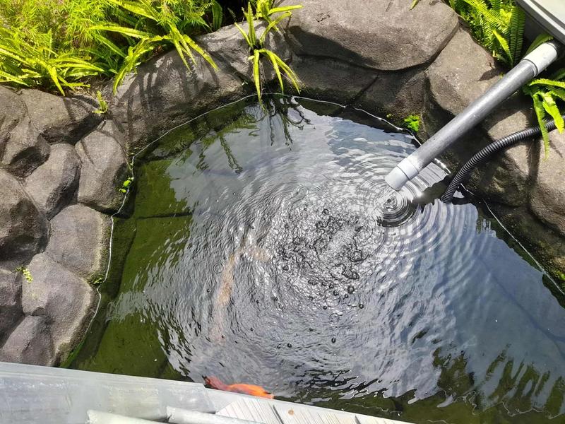 Maison chambre d'hôtes - 183 m² - 11 pièces