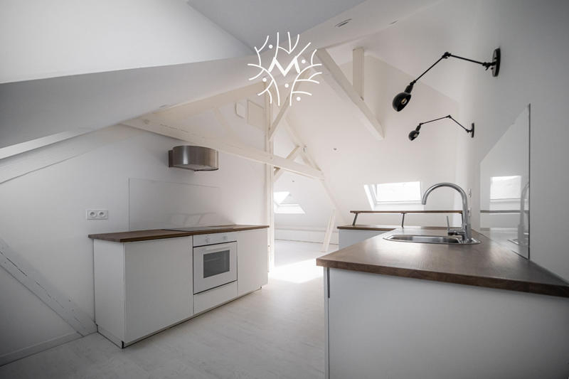 Loft - 45 m² - 4 pièces