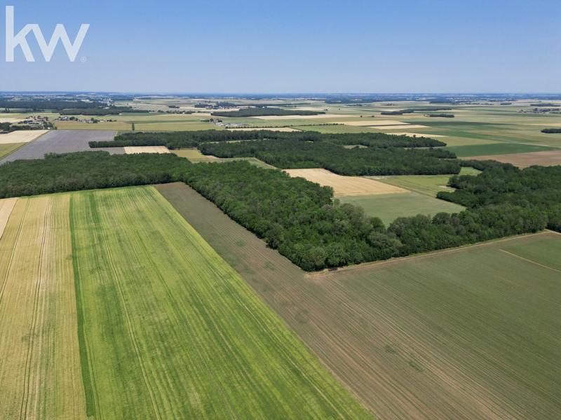 Propriété - 300 m² - 8 pièces