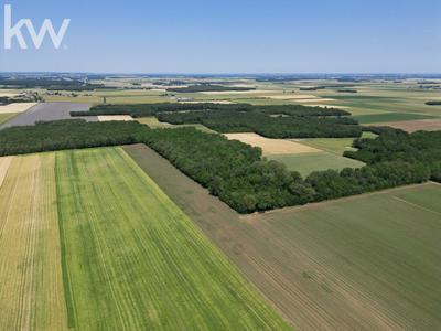 Propriété - 300 m² - 8 pièces