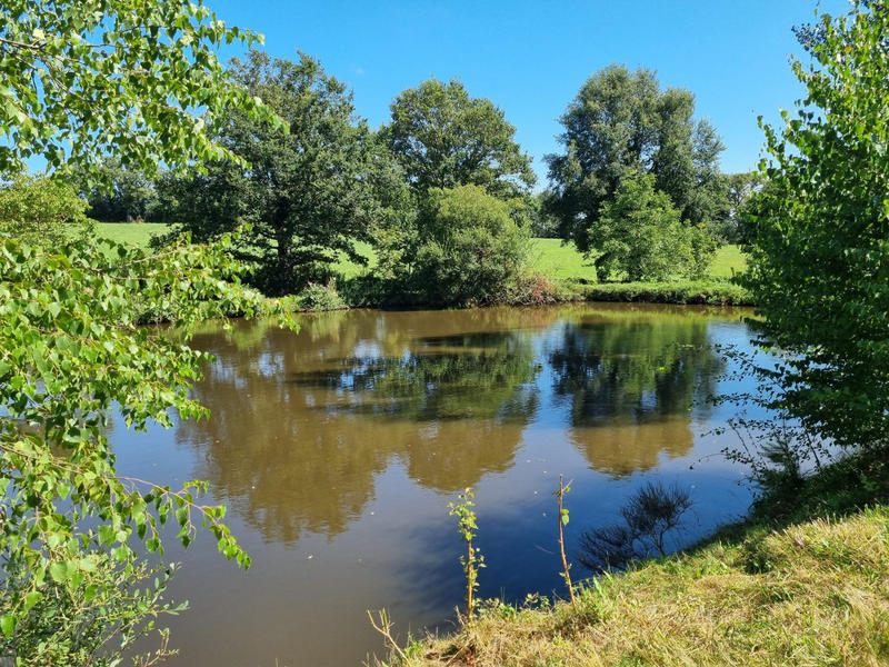 Terrain - 14 264 m²