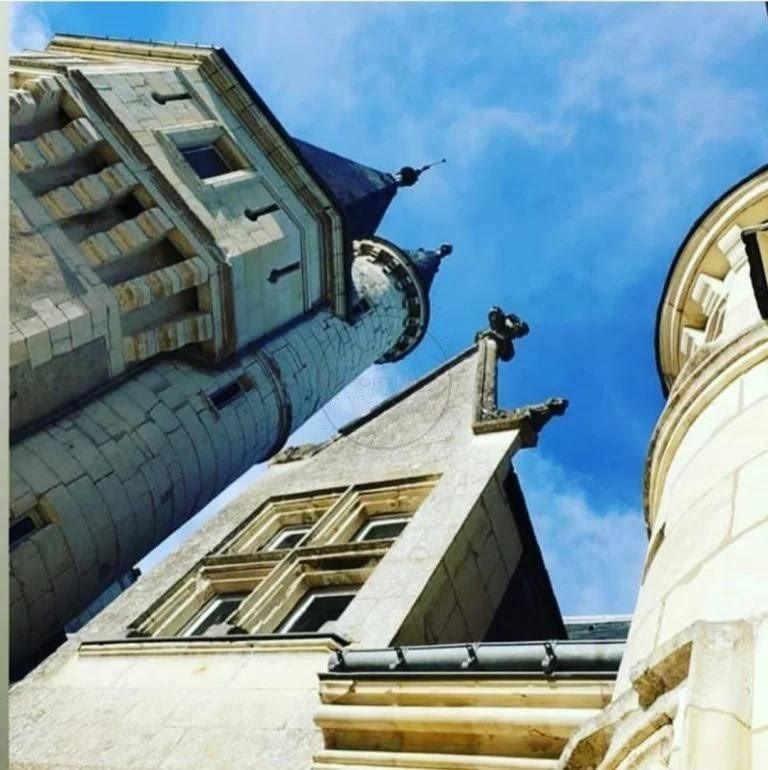 Manoir - 700 m² - 20 pièces