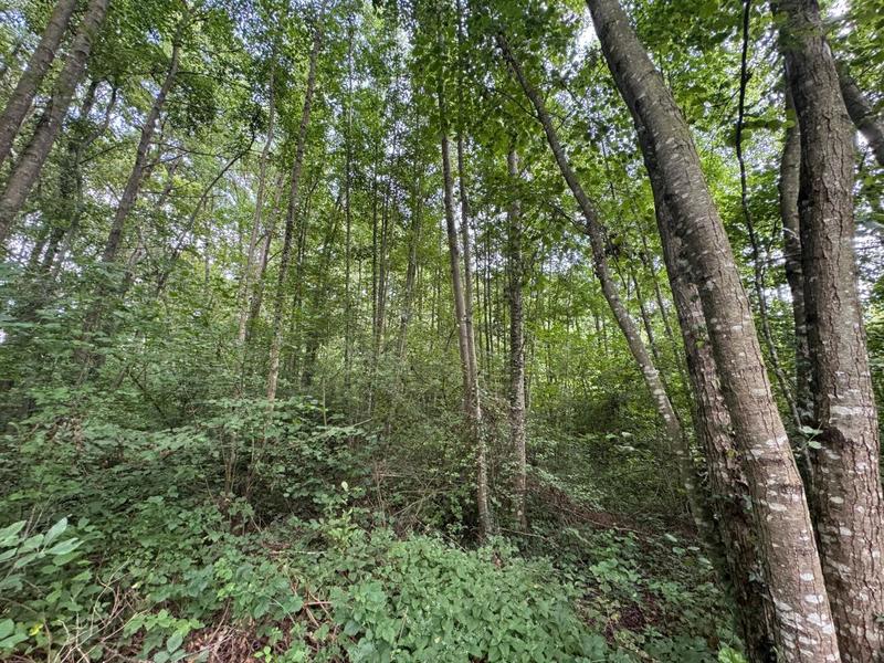 Terrain de loisirs - 4 340 m²