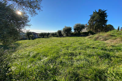 Terrain - 1 002 m²