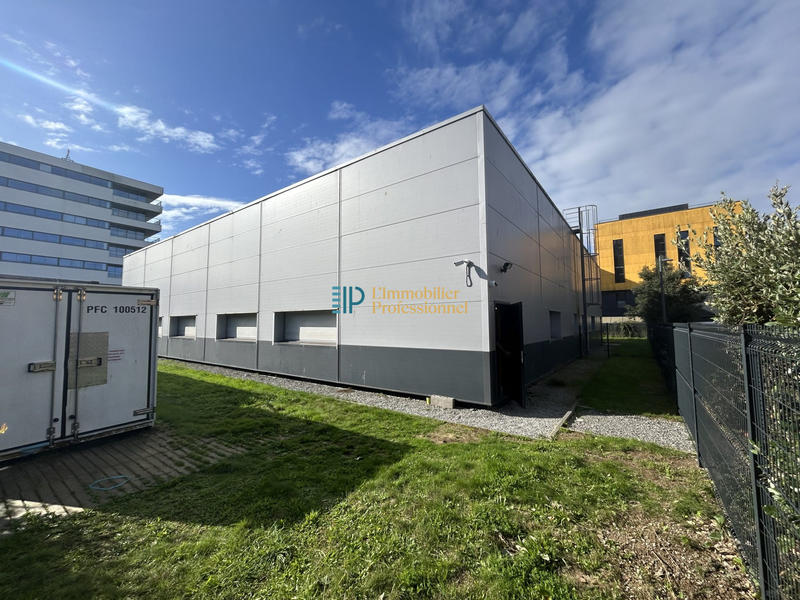 Local d'activités - 304 m²