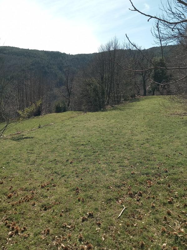 Maison de village - 60 m² - 2 pièces