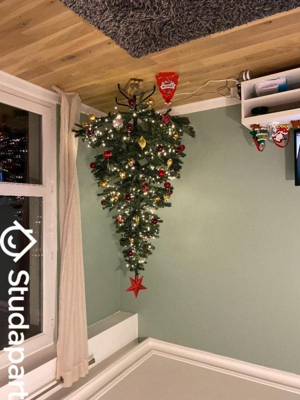 Chambre - 12 m² - 1 pièce