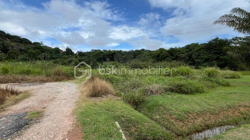 Terrain de loisirs - 1 004 m²