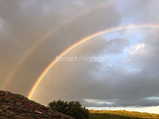 Mas - 750 m² - 20 pièces