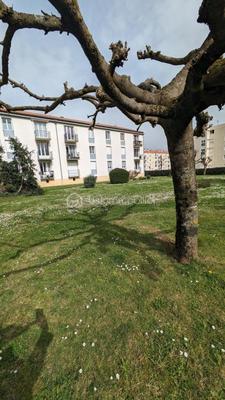 Appartement - 71 m² - 4 pièces