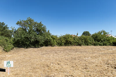 Terrain - 790 m²