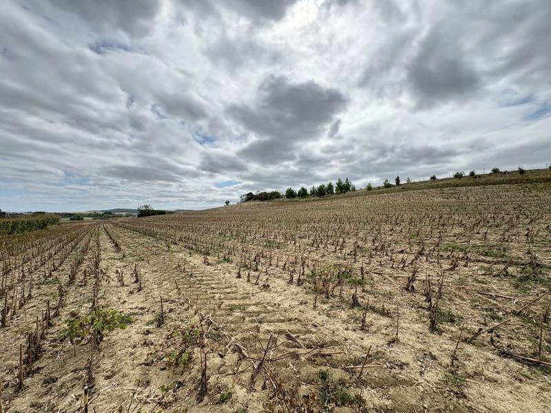 Terrain constructible - 19 811 m²