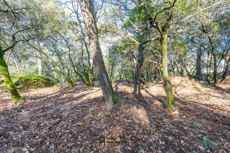 Terrain constructible - 3 367 m²