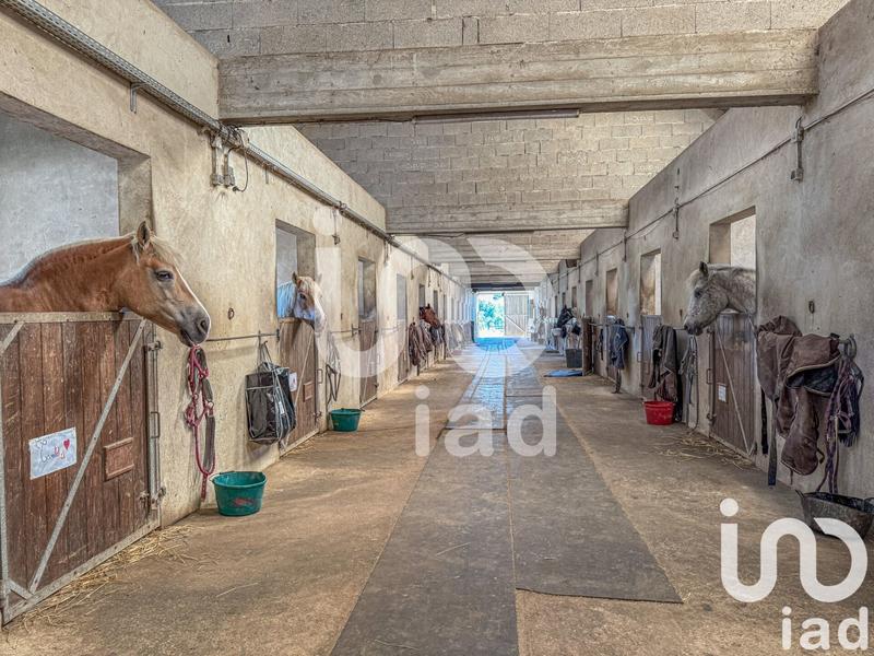 Maison - 221 m² - 7 pièces