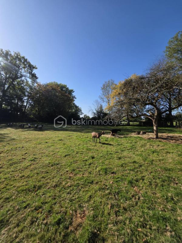 Maison - 91 m² - 4 pièces