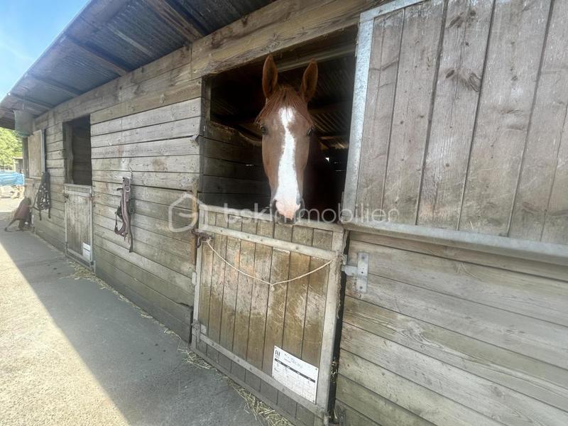 Maison de domaine équestre - 150 m² - 5 pièces