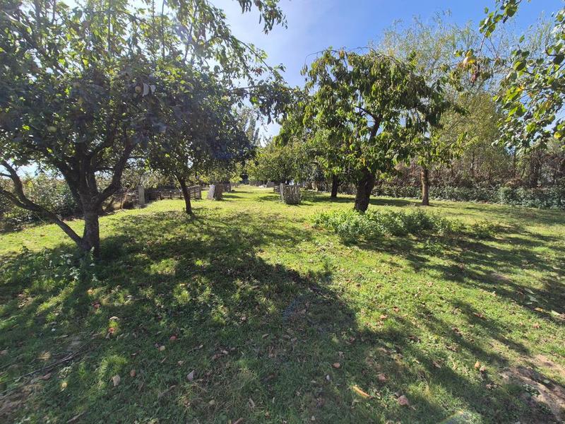 Maison - 190 m² - 6 pièces