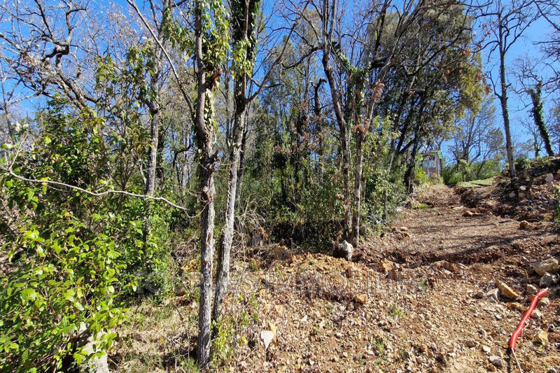 Terrain agricole - 3 270 m²