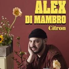 Alex Di Mambro - Citron - Théâtre Bo Saint-Martin, Paris