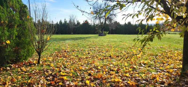 Maison ancienne - 155 m² - 4 pièces