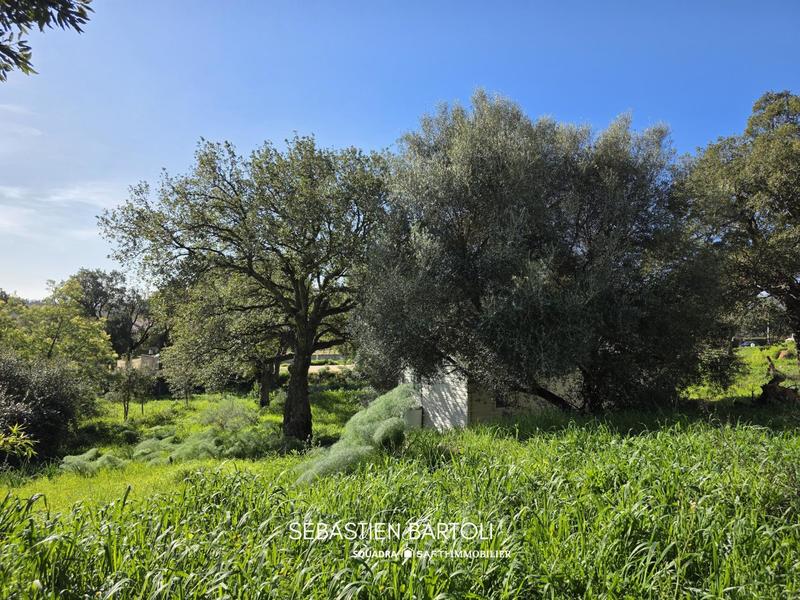 Maison - 109 m² - 6 pièces