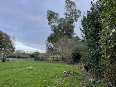 Maison - 137 m² - 5 pièces