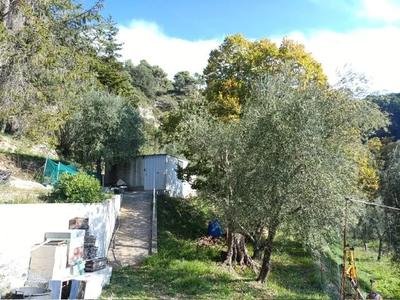 Villa - 54 m² - 3 pièces