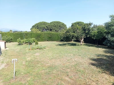 Terrain - 1 075 m²