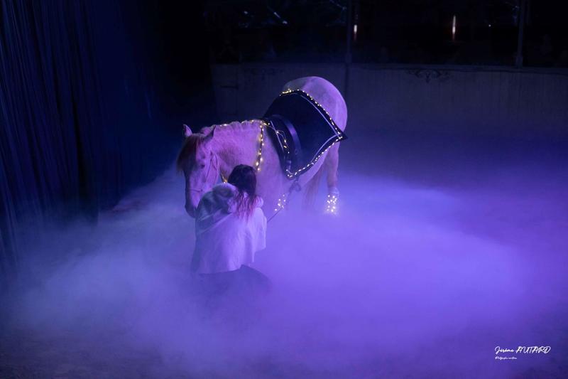 Spectacle 2026 du Cabaret Équestre des Mylords/"Les 4 Saisons des Chevaux"/