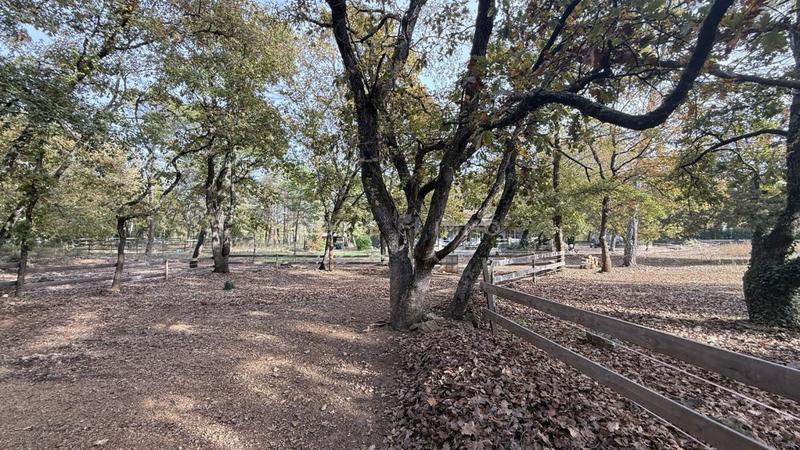 Maison de domaine équestre - 180 m² - 7 pièces