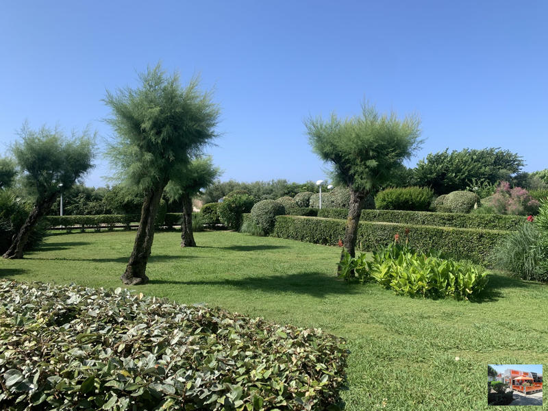 Appartement - 24 m² - 1 pièce