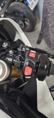 Triumph Speed Triple 1200 Rr