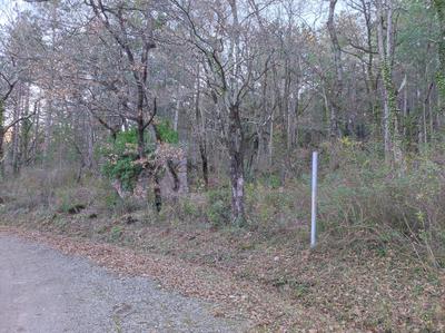 Terrain de loisirs - 25 880 m²