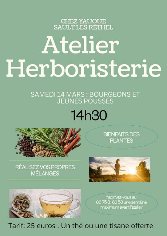 Atelier Herboristerie : bourgeons et jeunes pousses