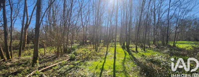 Maison - 160 m² - 3 pièces