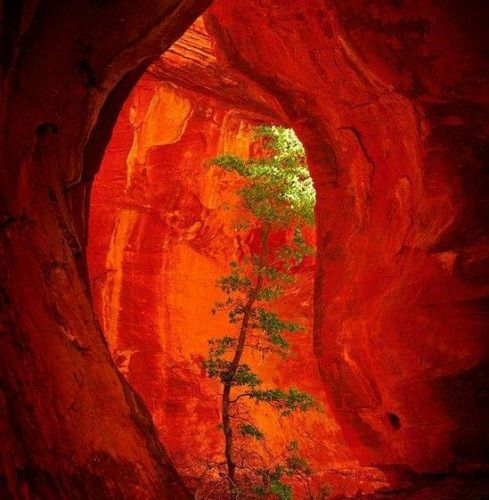 Elsa Prohom - Cabinet Terra Humana