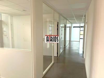 Local d'activité / Entrepôt - 290 m²