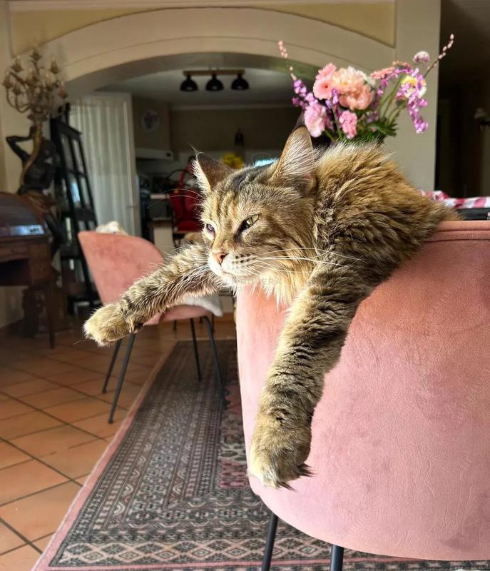 Mas - 153 m² - 6 pièces