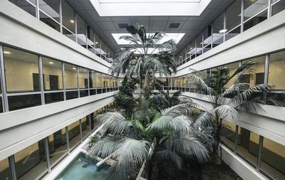 Studio - 16 m² - 1 pièce