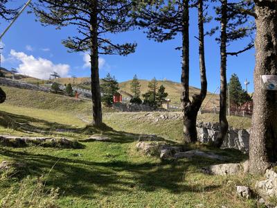 Appartement - 21 m² - 1 pièce