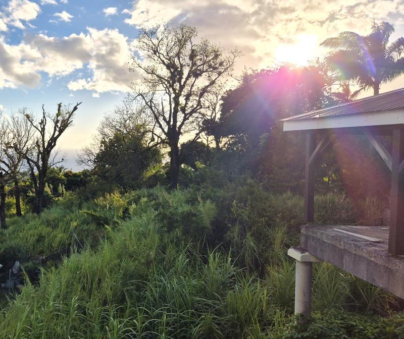 Maison traditionnelle - 480 m² - 15 pièces