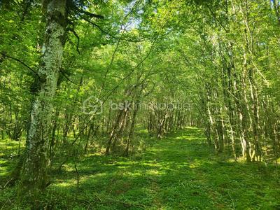 Terrain agricole - 107 573 m²