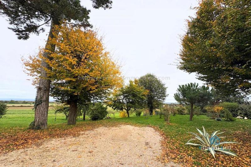 Propriété - 242 m² - 6 pièces