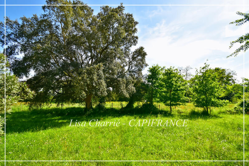 Maison de campagne - 162 m² - 6 pièces