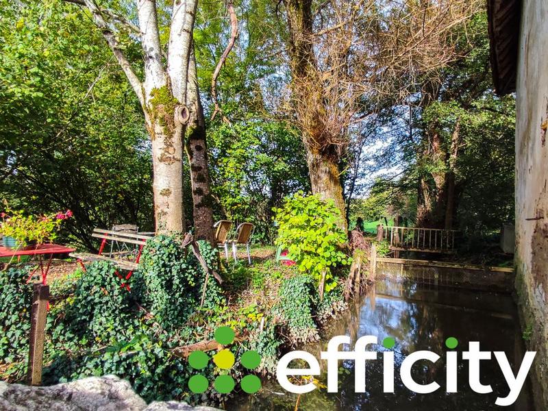 Maison de domaine équestre - 187 m² - 7 pièces