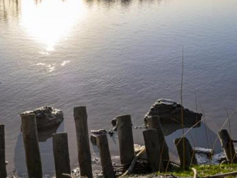Découverte de la biodiversité des bords de Garonne