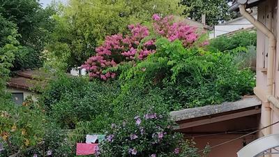 Maison de village - 58 m² - 3 pièces